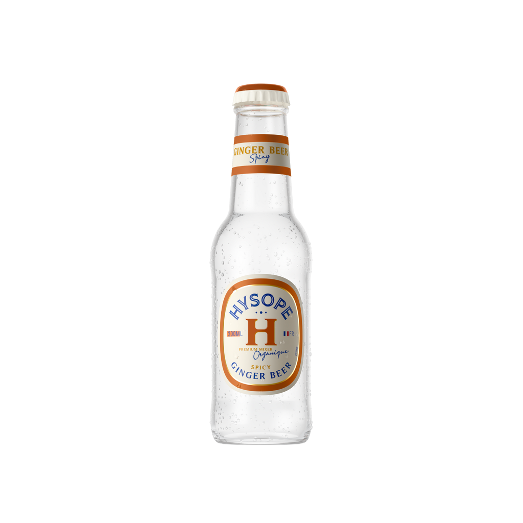 LOG Hysope Ginger Beer Spicy Bio verre - 24 x 20cl