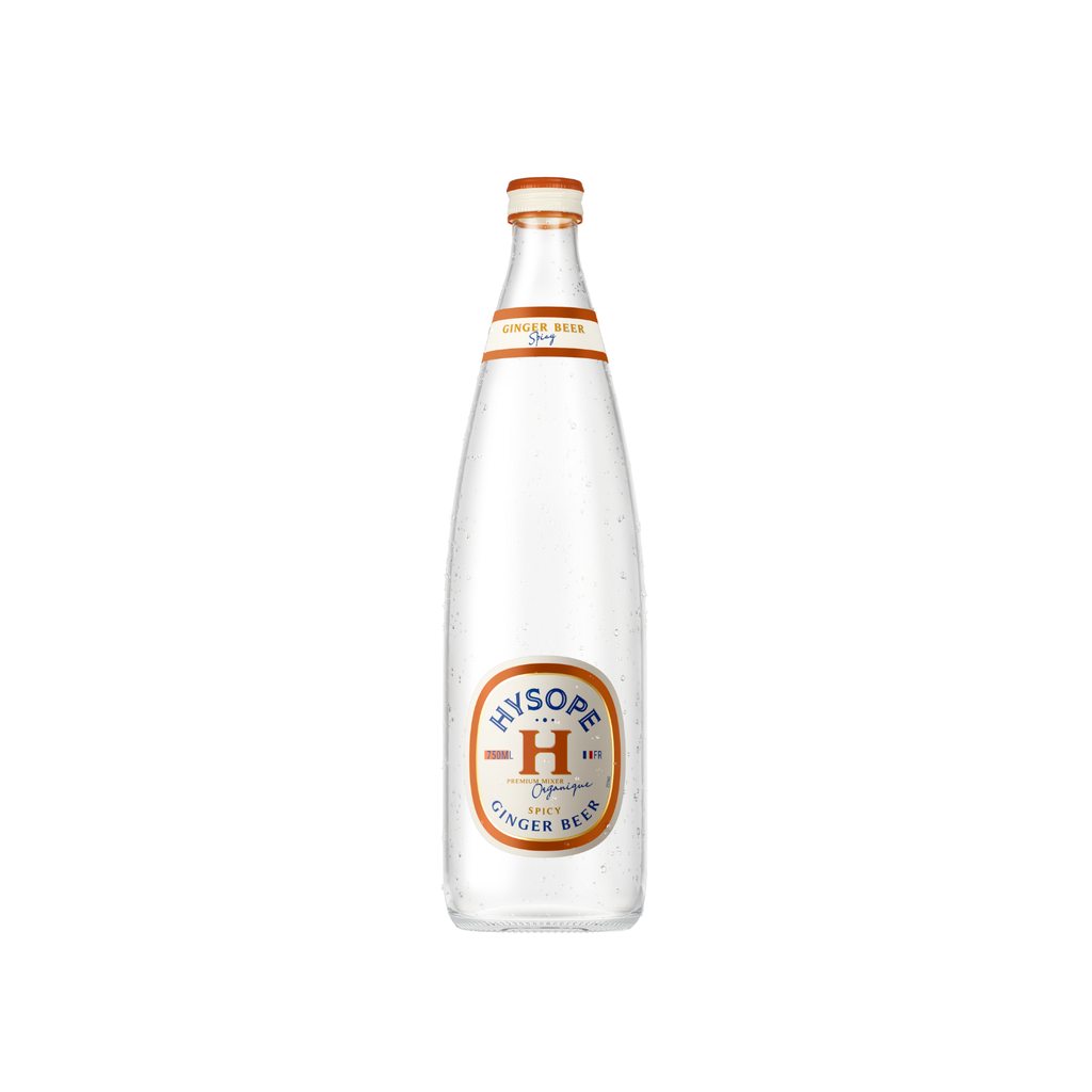 LOG Hysope Ginger Beer Spicy Bio verre - 6 x 75cl